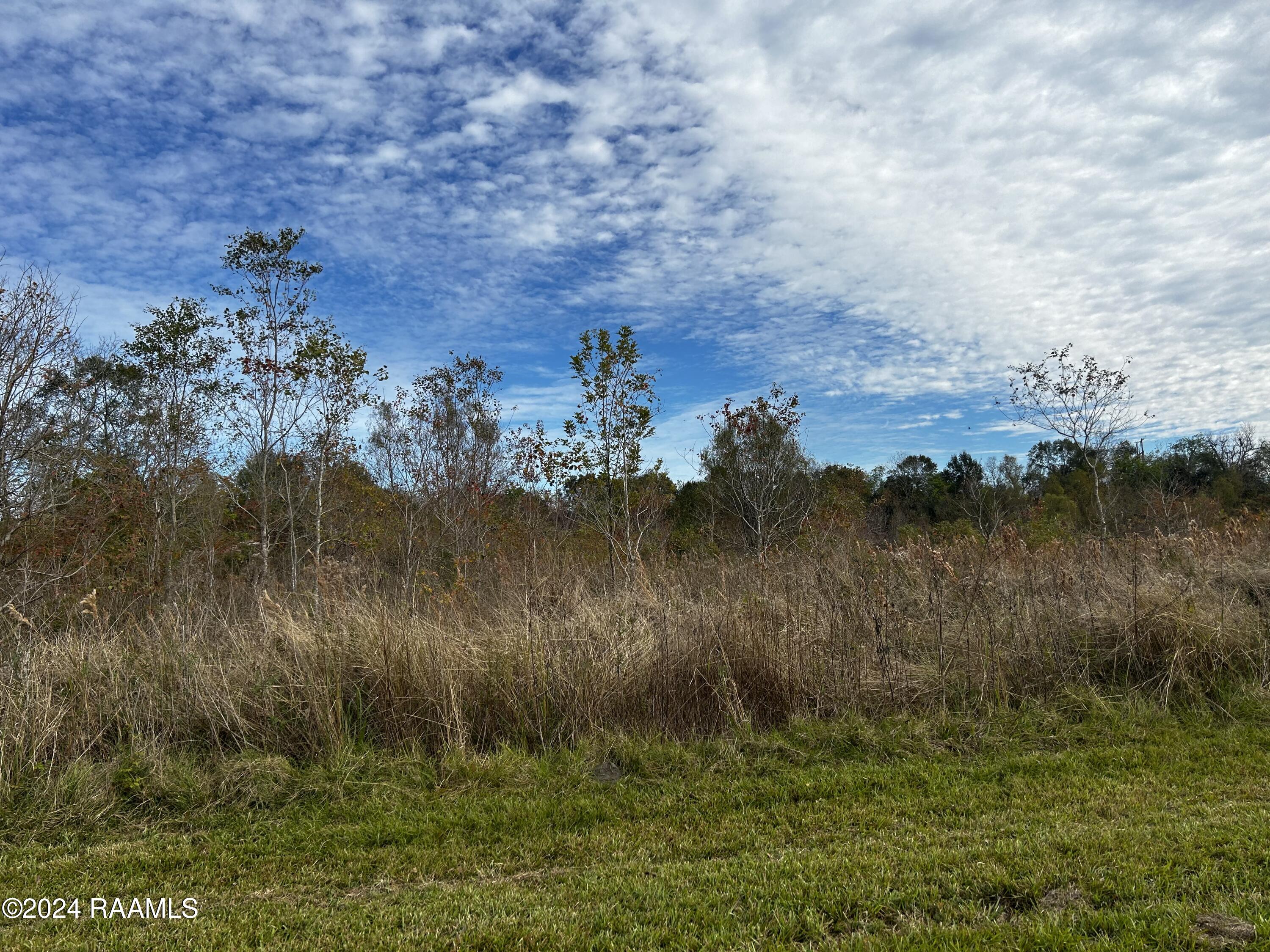 Tbd Chawee Road Breaux Bridge, LA 70517 - Photo 2 of 4 IMG_3196