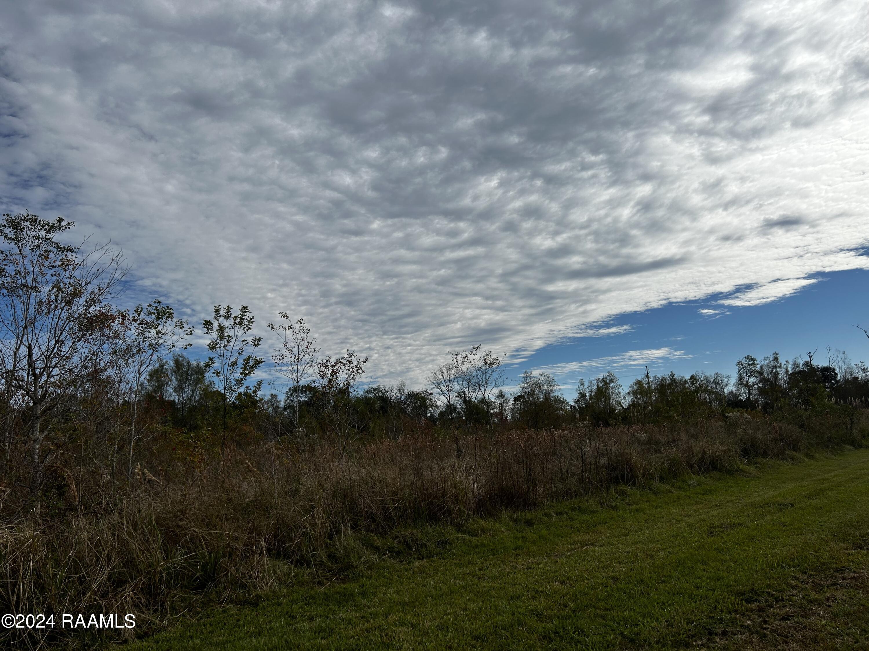 Tbd Chawee Road Breaux Bridge, LA 70517 - Photo 3 of 4 IMG_3193
