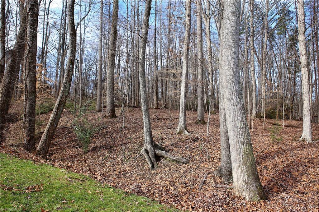 7507 Everson Road Summerfield, NC 27358 - Photo 14 of 19 Private lot. view from back of the home