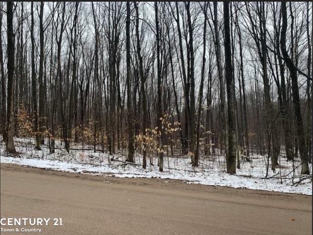 15390 Wurm Road Wolverine, MI 49799 - Photo 3 of 5