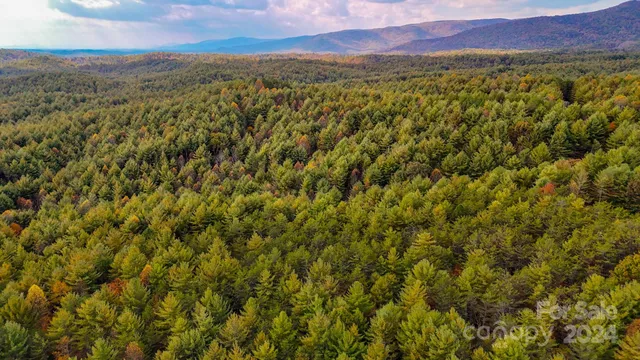 a view of city and mountain