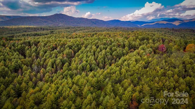 a view of a lush green mountain