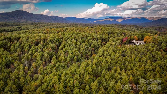 a view of a lush green mountain