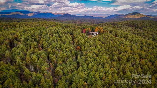 a view of a city with lush green forest