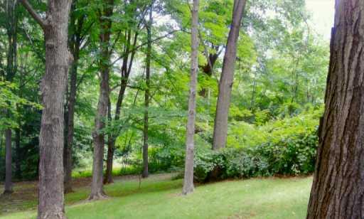 269 Headley Road Washington, PA 15301 - Photo 5 of 6 Yard/Garden.
