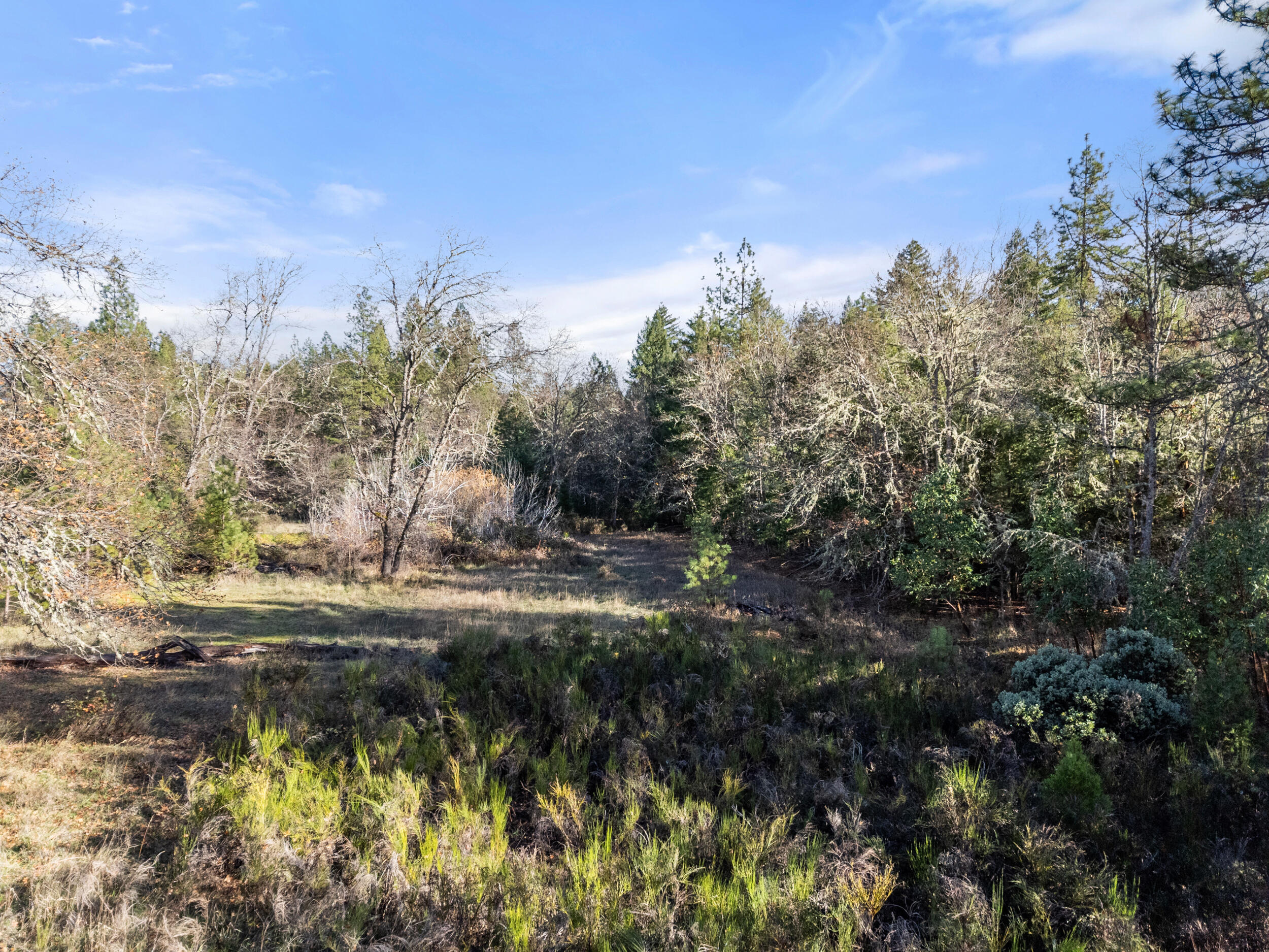 681 Daisy Hill Road Cave Junction, OR 97523 - Photo 17 of 26 a view of a lake with houses