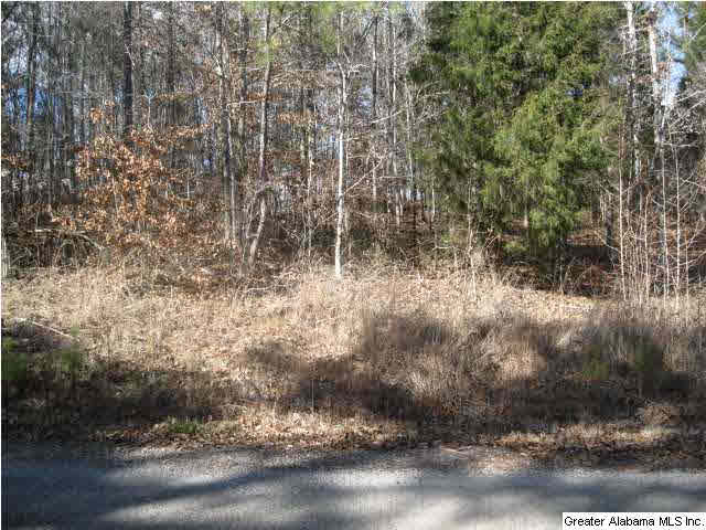 Turkey Ridge, Unit 36 Ragland, AL 35131 - Photo 3 of 13