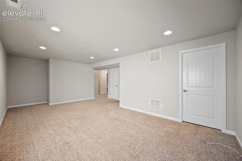 11447 Rill Point Colorado Springs, CO 80921 - Photo 22 of 42 basement living/entertainment