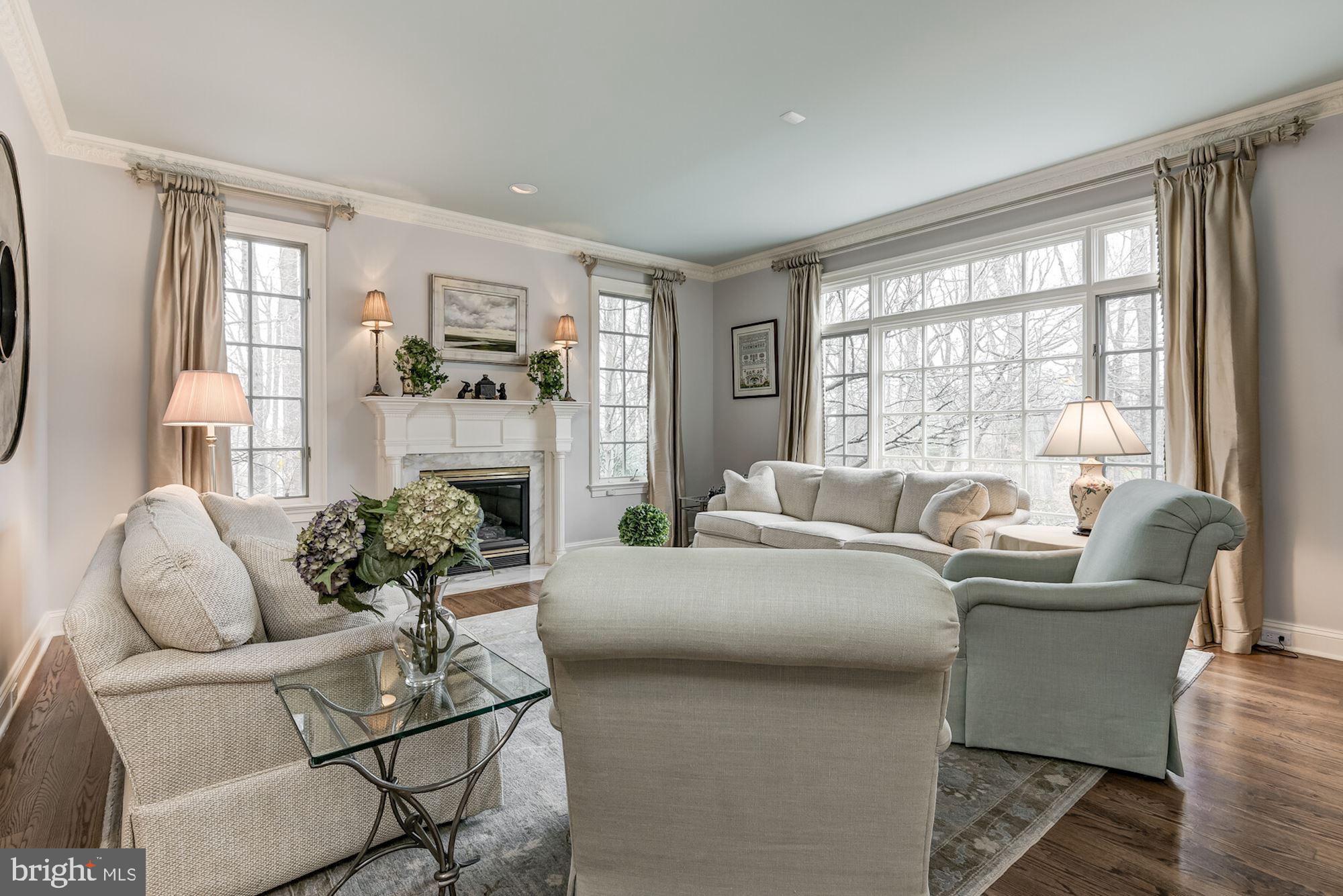 11206 River View Drive Potomac, MD 20854 - Photo 5 of 48 Living Room
