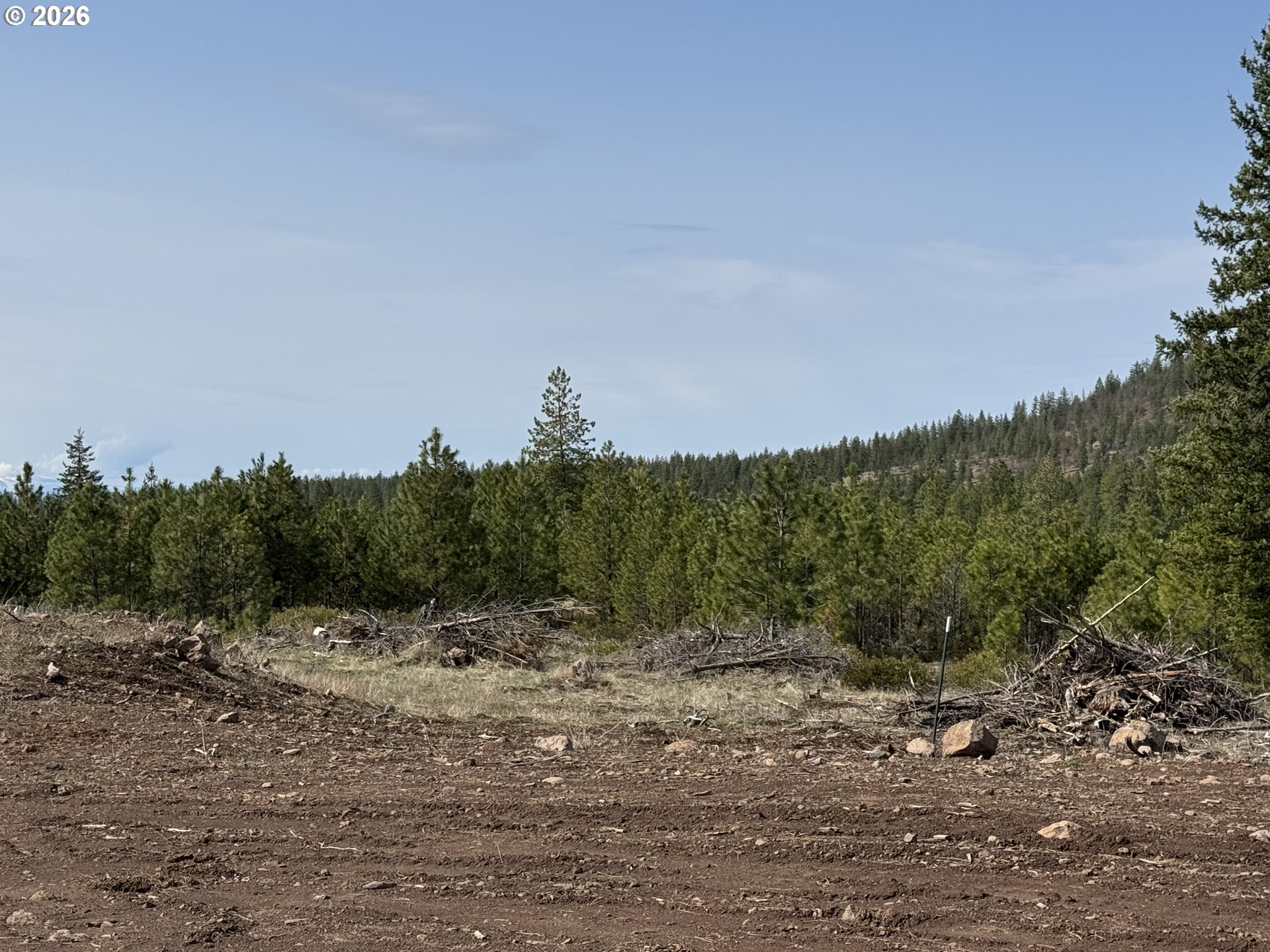 85 Mule Run Road Goldendale, WA 98620 - Photo 12 of 39 a view of a field with trees in background