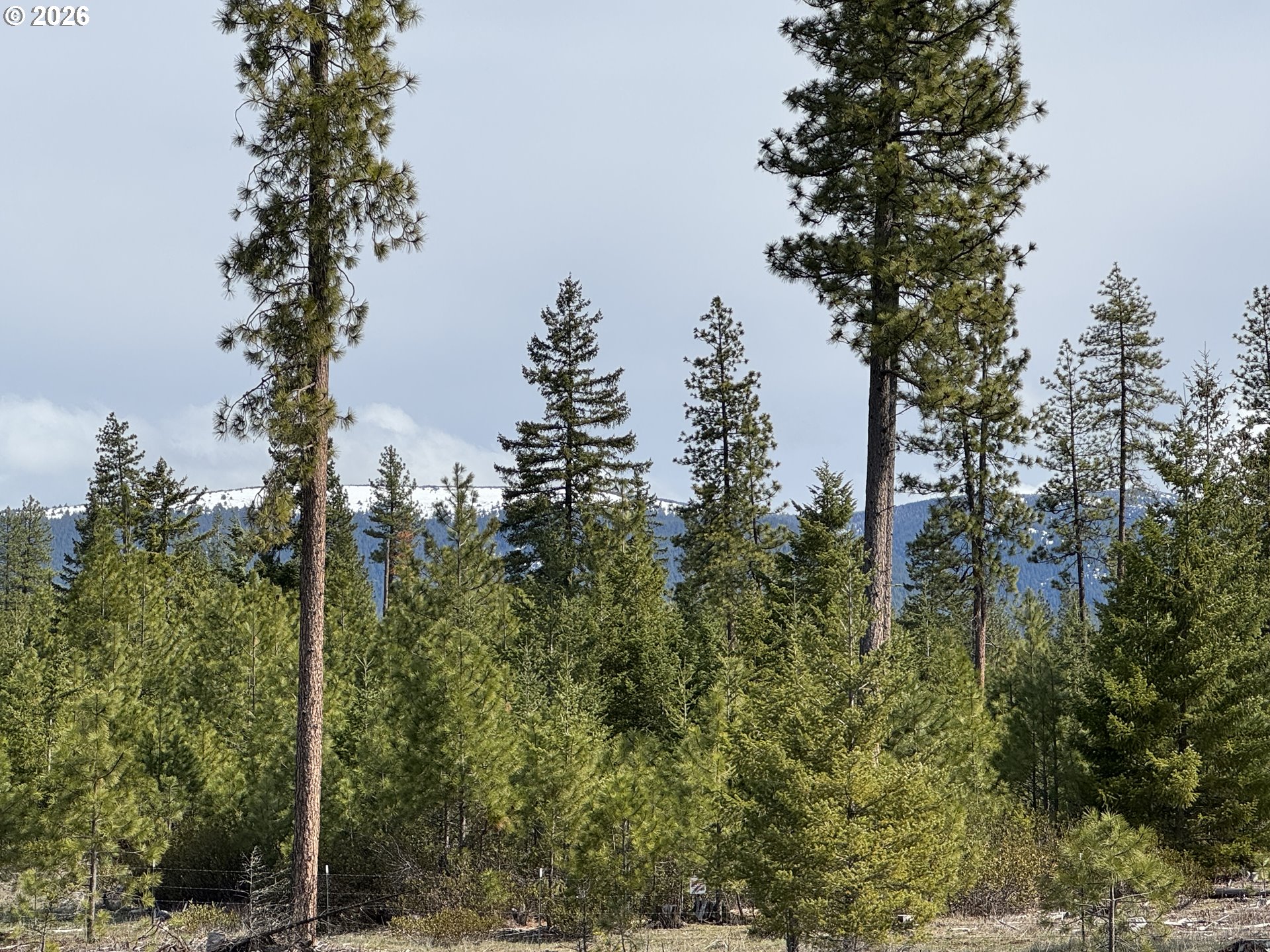 85 Mule Run Road Goldendale, WA 98620 - Photo 13 of 39 a view of a city