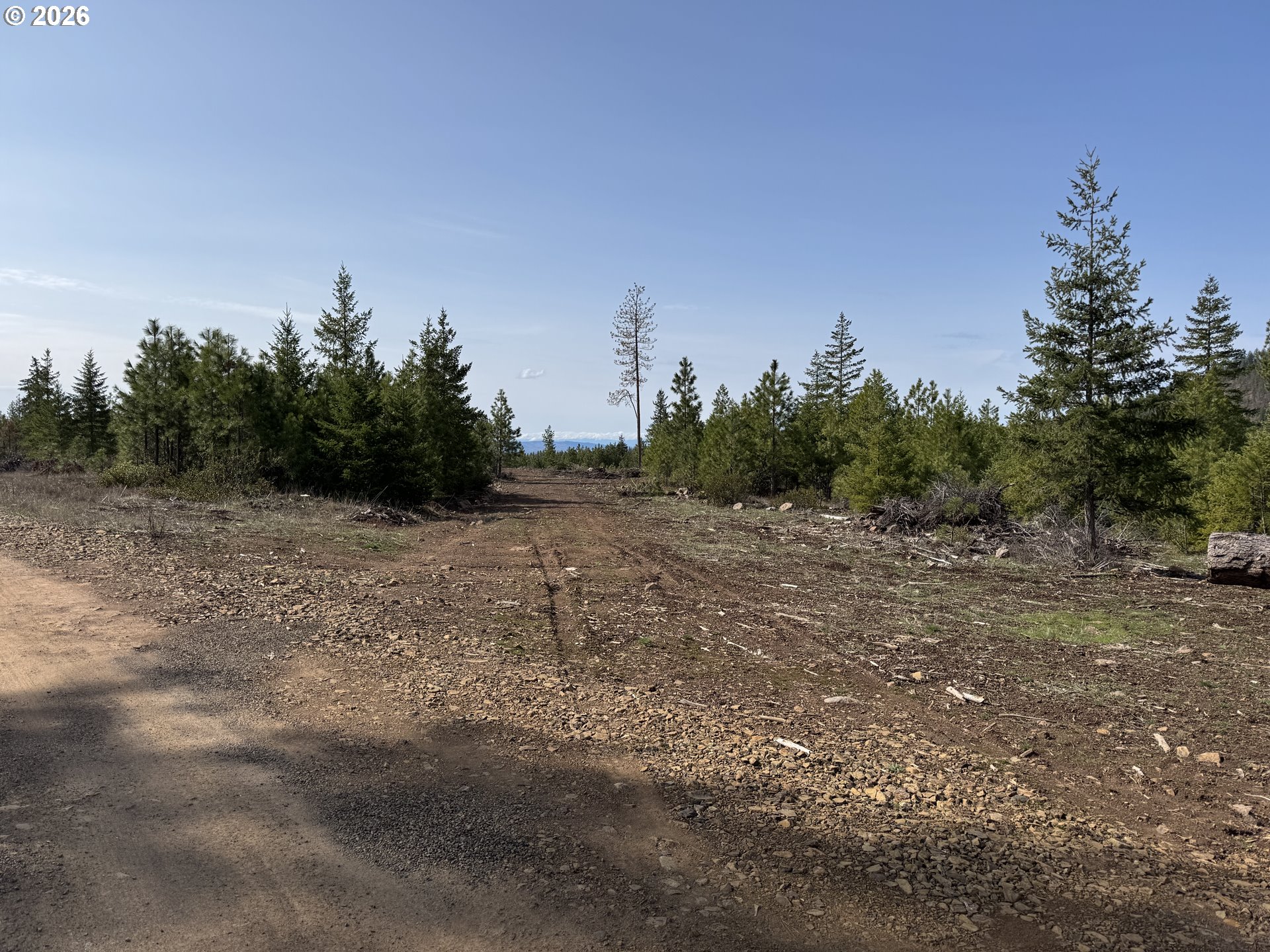 85 Mule Run Road Goldendale, WA 98620 - Photo 17 of 39 a view of a field with trees in background