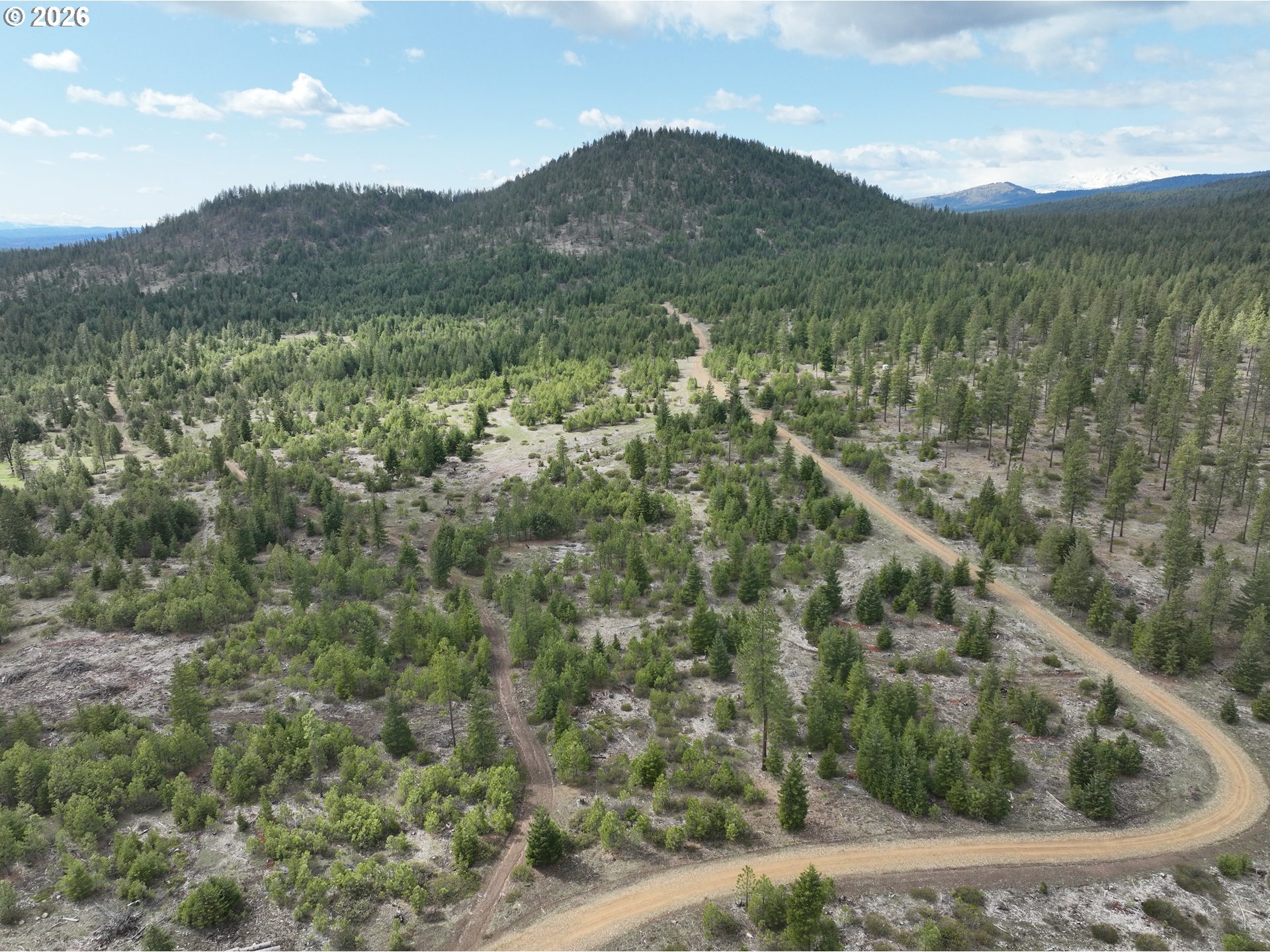 85 Mule Run Road Goldendale, WA 98620 - Photo 19 of 39 a view of a mountain in the distance