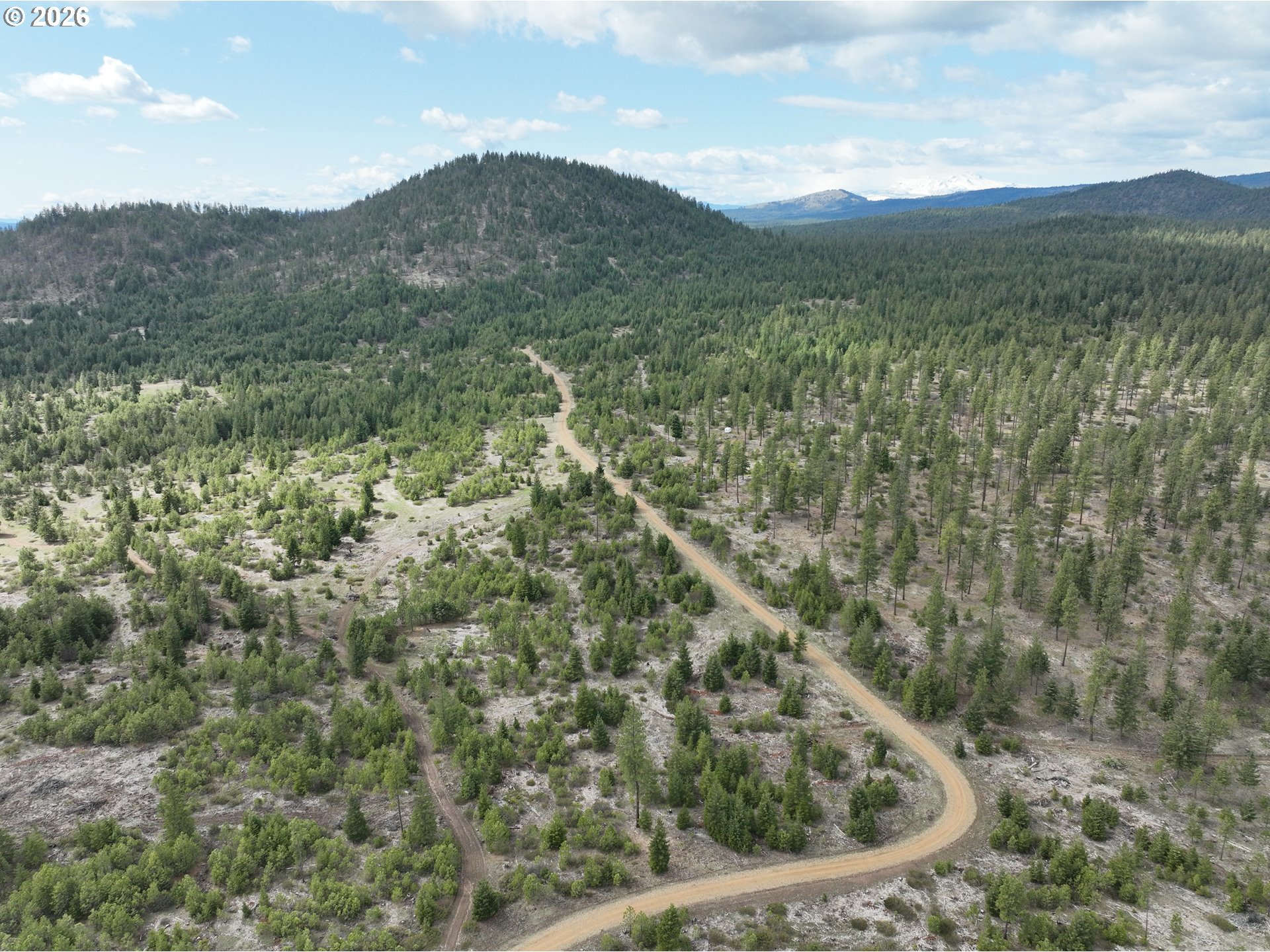 85 Mule Run Road Goldendale, WA 98620 - Photo 20 of 39 a view of a small yard with green space