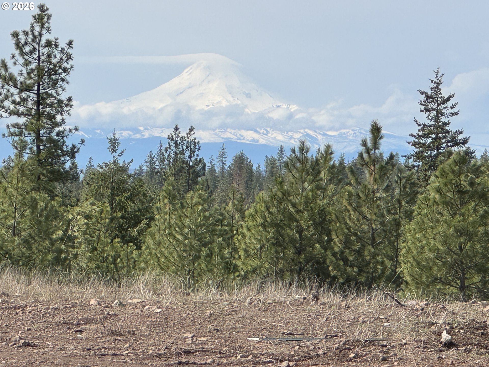 85 Mule Run Road Goldendale, WA 98620 - Photo 2 of 39 a view of a dry yard with lots of green space