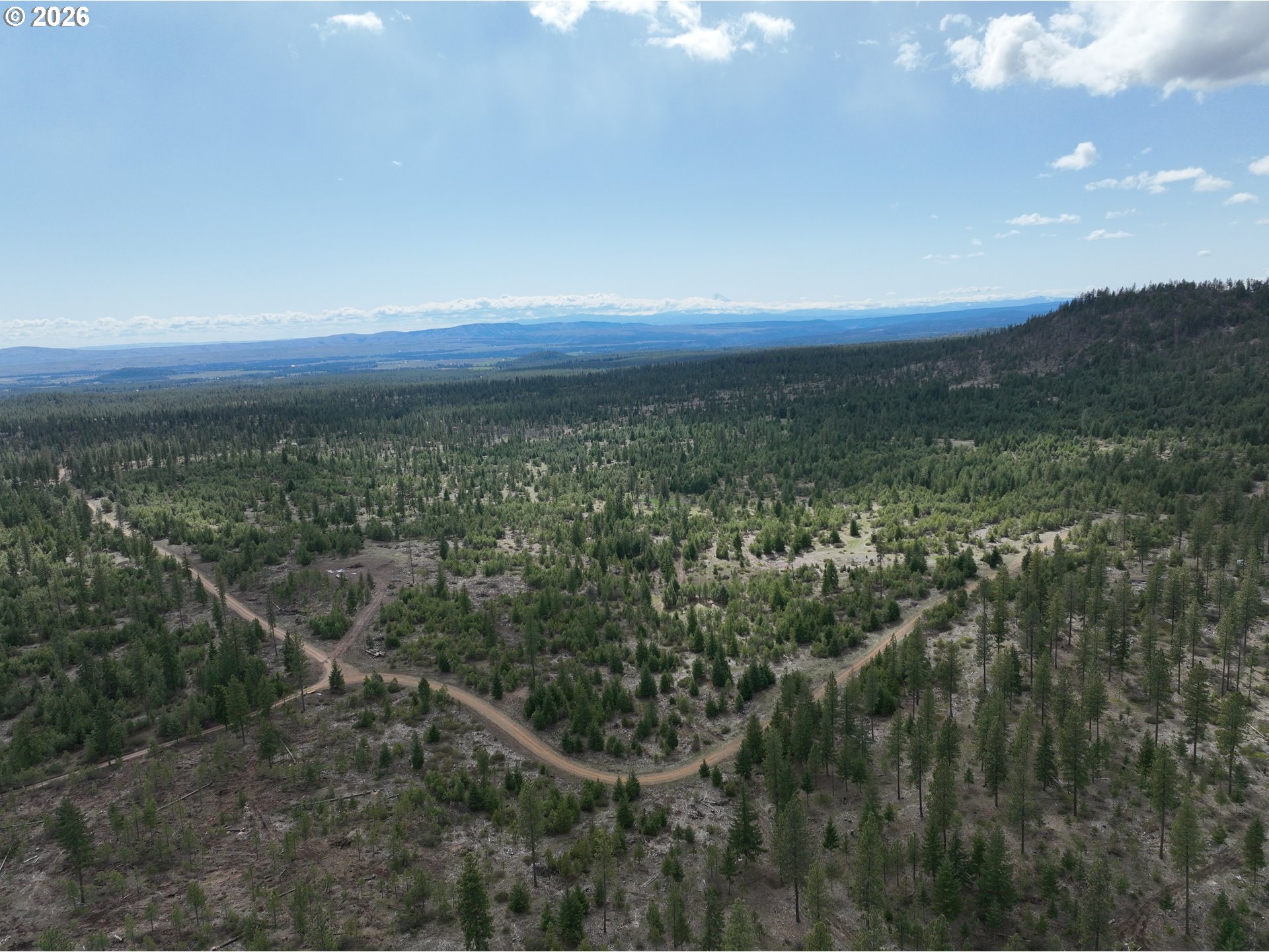 85 Mule Run Road Goldendale, WA 98620 - Photo 21 of 39 a view of a city with lush green forest