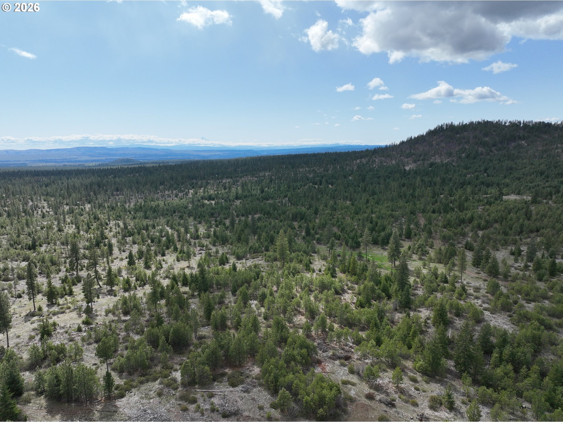 85 Mule Run Road Goldendale, WA 98620 - Photo 25 of 39 a view of city and mountain