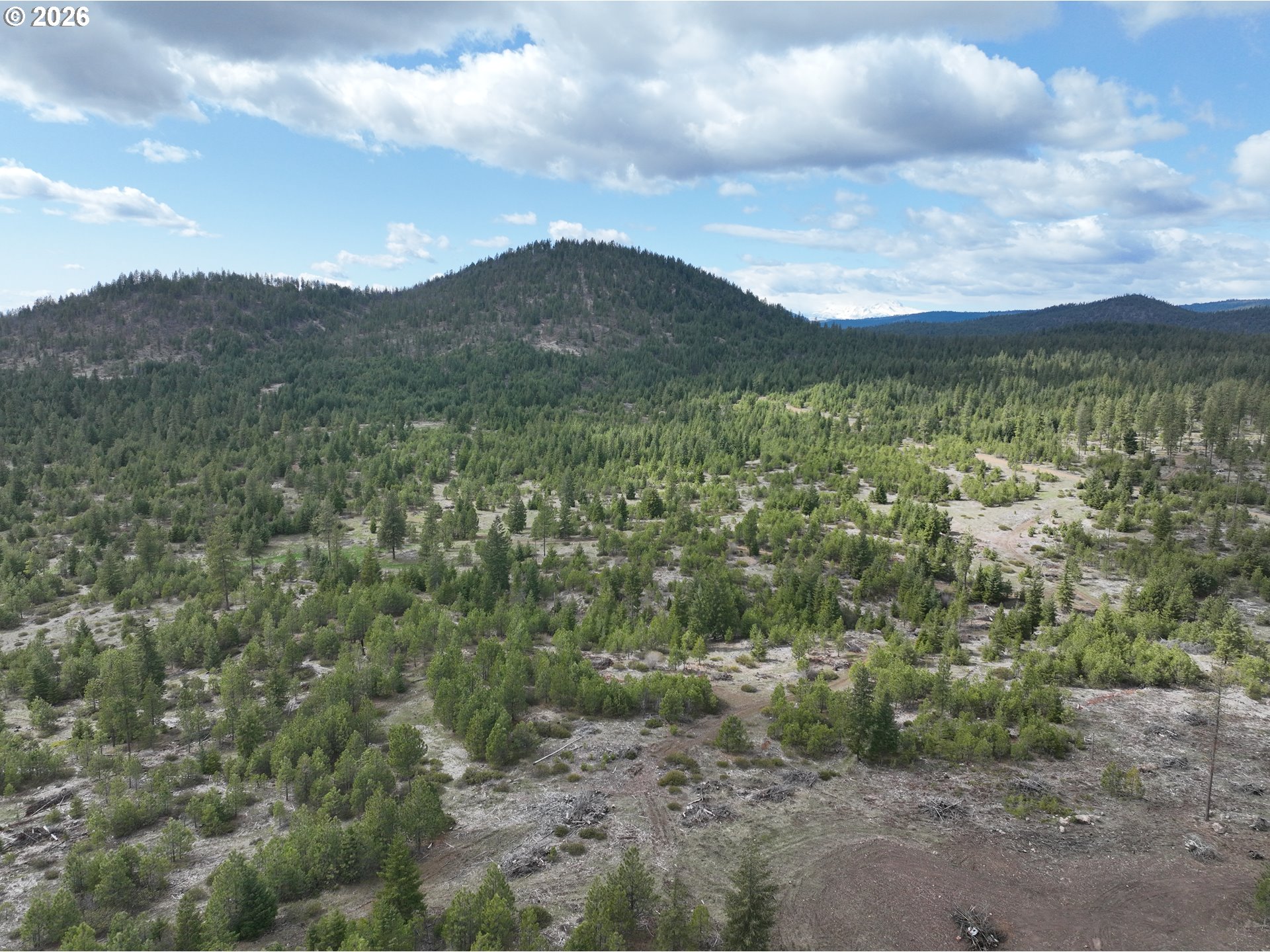 85 Mule Run Road Goldendale, WA 98620 - Photo 27 of 39 a view of a big yard with mountains in the background