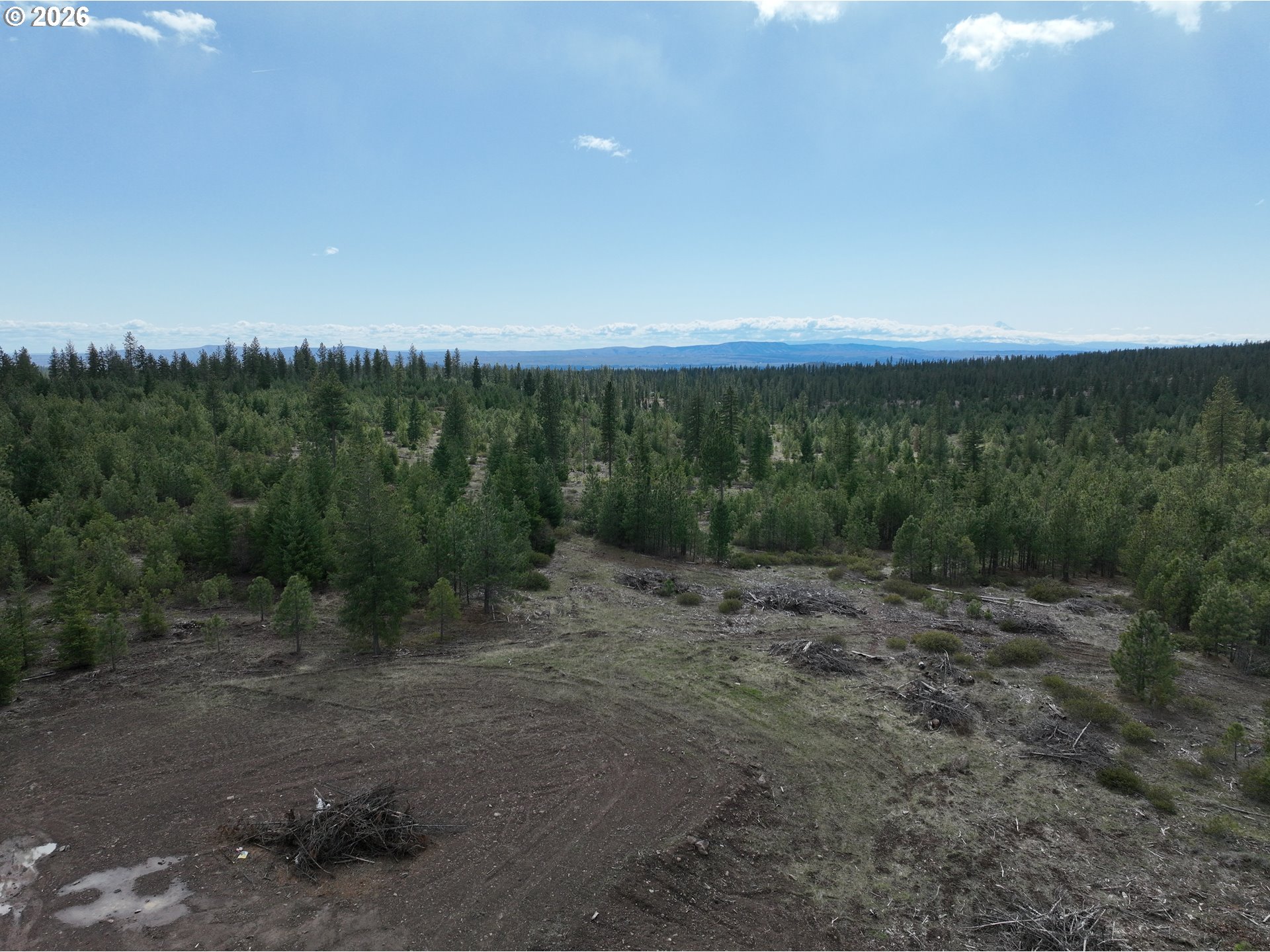 85 Mule Run Road Goldendale, WA 98620 - Photo 29 of 39 a view of a field with trees in background