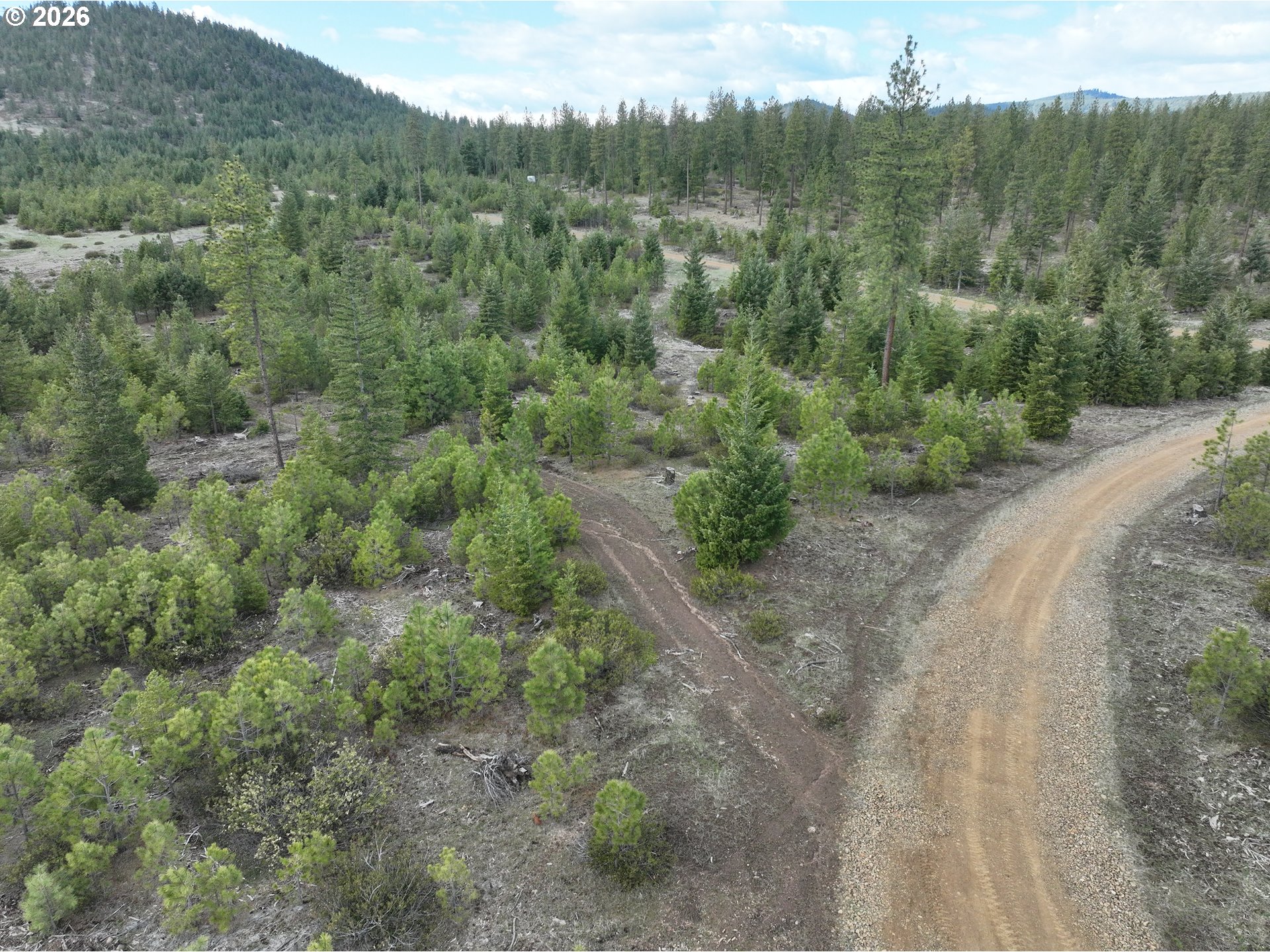 85 Mule Run Road Goldendale, WA 98620 - Photo 36 of 39 a view of a forest with a street
