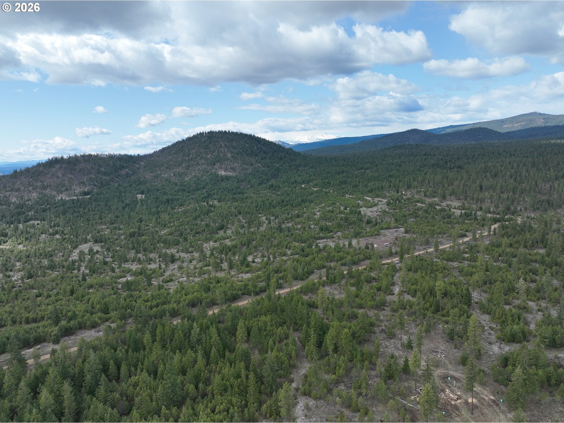 85 Mule Run Road Goldendale, WA 98620 - Photo 37 of 39 a view of a mountain