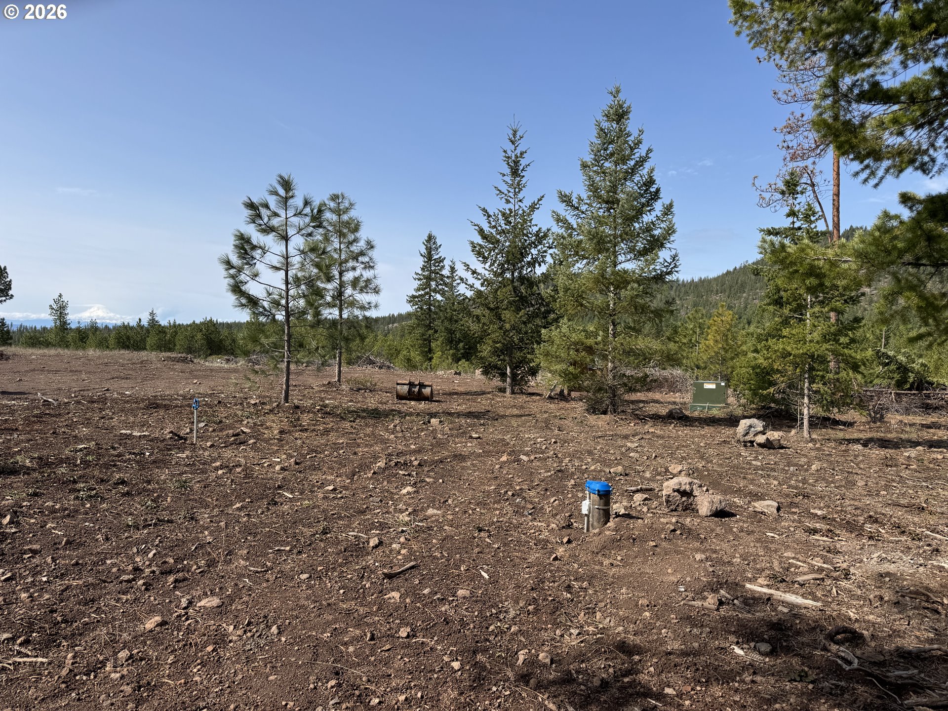85 Mule Run Road Goldendale, WA 98620 - Photo 6 of 39 a view of a forest with trees