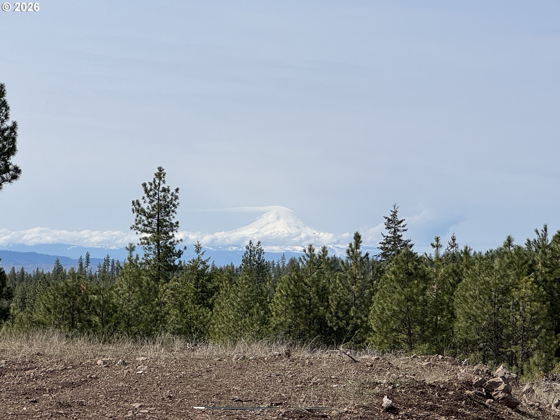 85 Mule Run Road Goldendale, WA 98620 - Photo 9 of 39