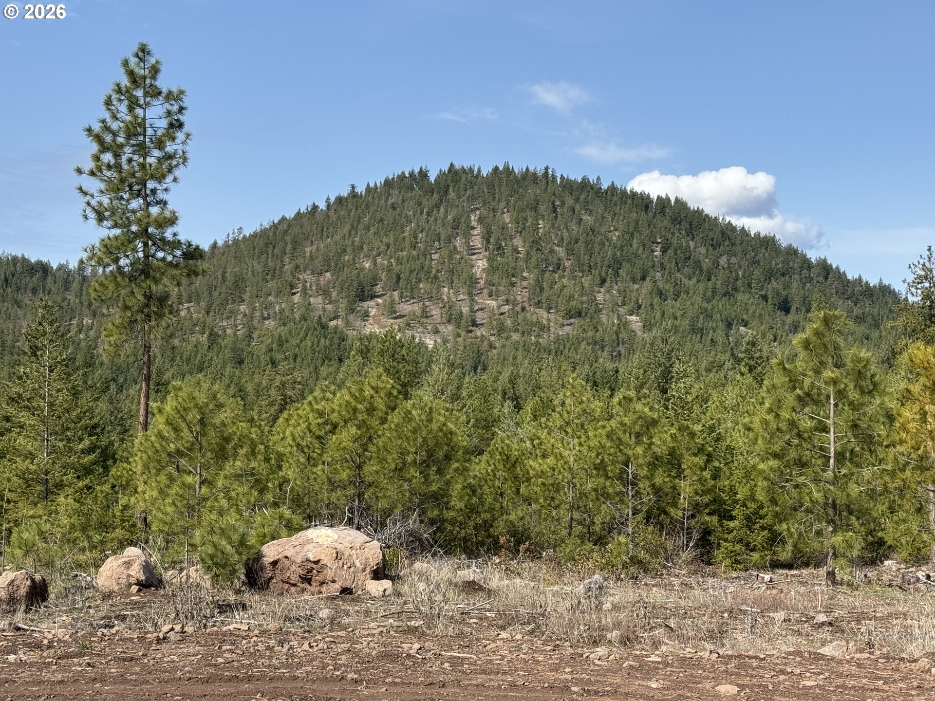 85 Mule Run Road Goldendale, WA 98620 - Photo 10 of 39 a view of a yard