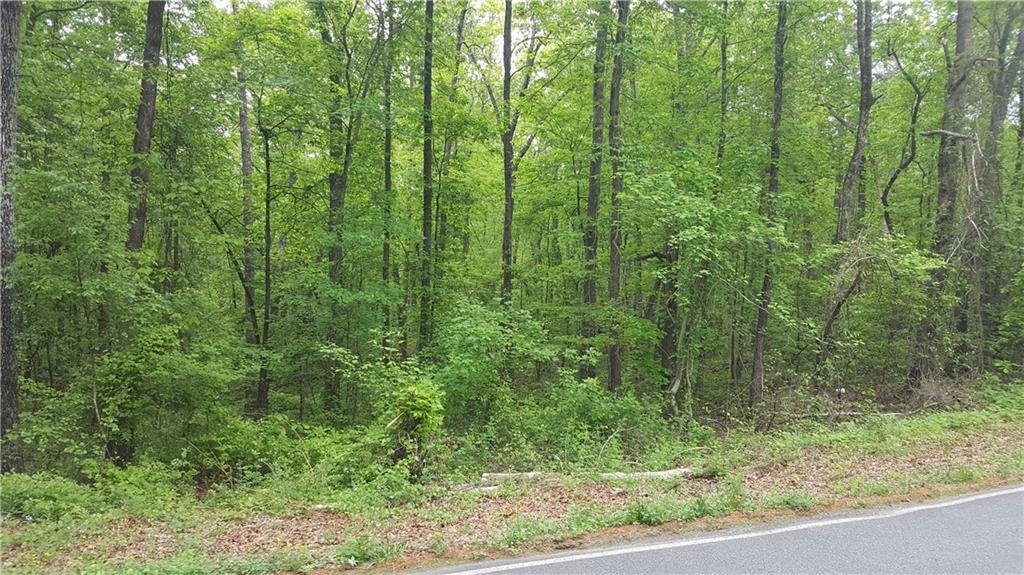270 Henry Scott Road Ball Ground, GA 30107 - Photo 1 of 1 Gallery Image 1