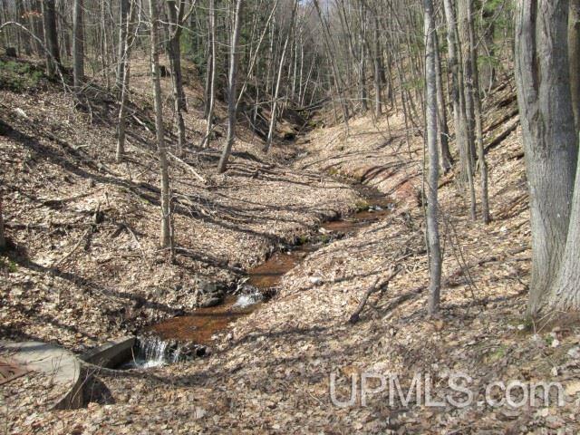 Tbd Golf Course Road Calumet, MI 49913 - Photo 17 of 21