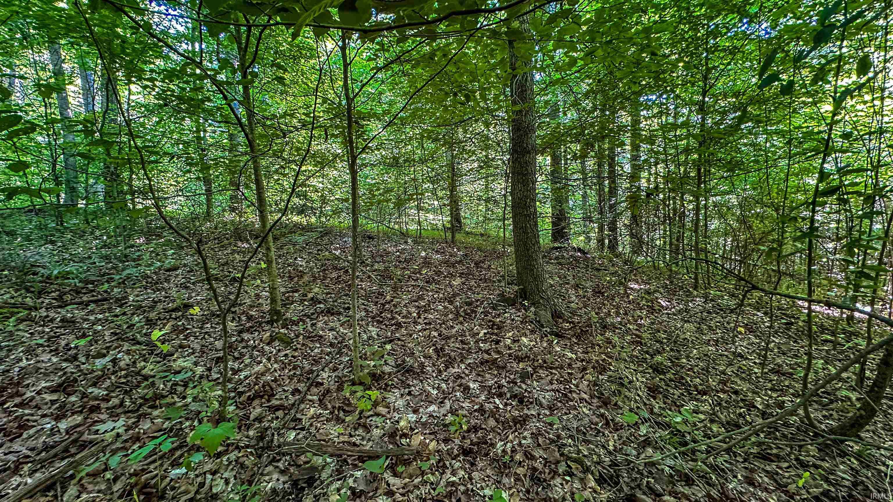 0 North Legion Road Solsberry, IN 47459 - Photo 3 of 6 Gallery Image 3