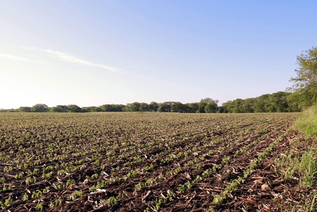 2980 North 28th Road Seneca, IL 61360 - Photo 2 of 6