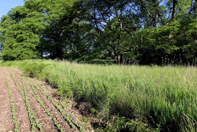2980 North 28th Road Seneca, IL 61360 - Photo 3 of 6