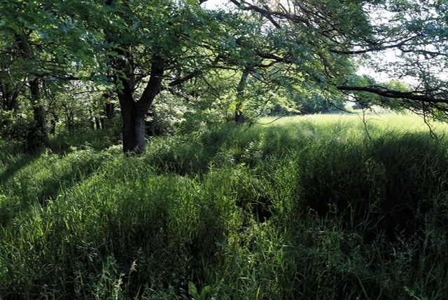 2980 North 28th Road Seneca, IL 61360 - Photo 4 of 6