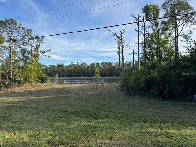 a view of a yard with large trees