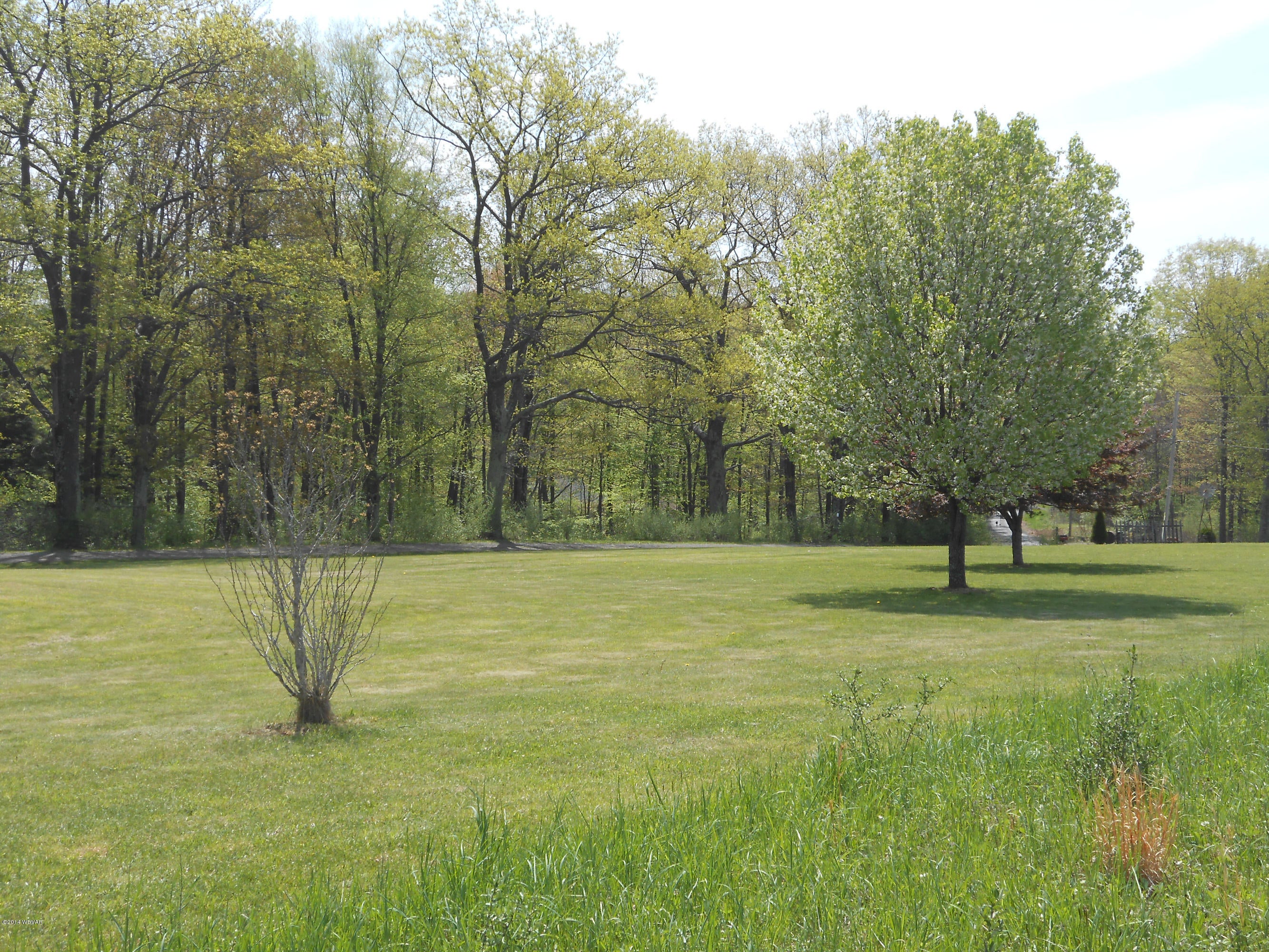1498 Steam Valley Road Trout Run, PA 17771 - Photo 4 of 40 Front Yard