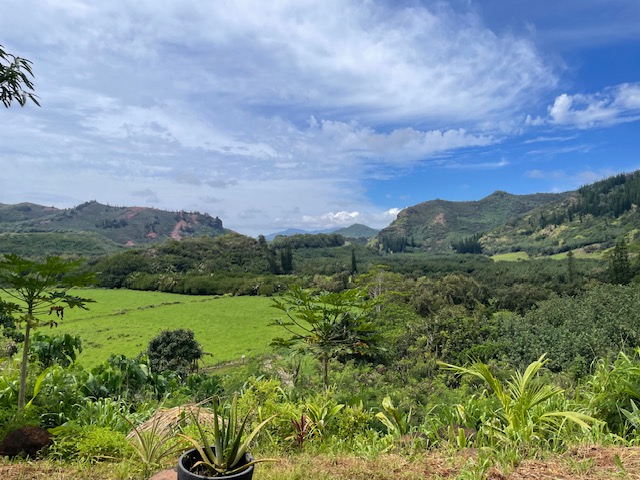 189 Eggerking Road Kapaa, HI 96746 - Photo 6 of 11