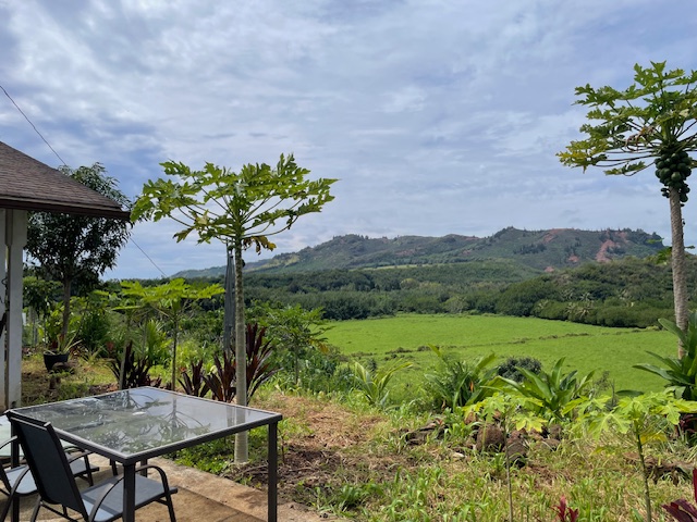 189 Eggerking Road Kapaa, HI 96746 - Photo 7 of 11