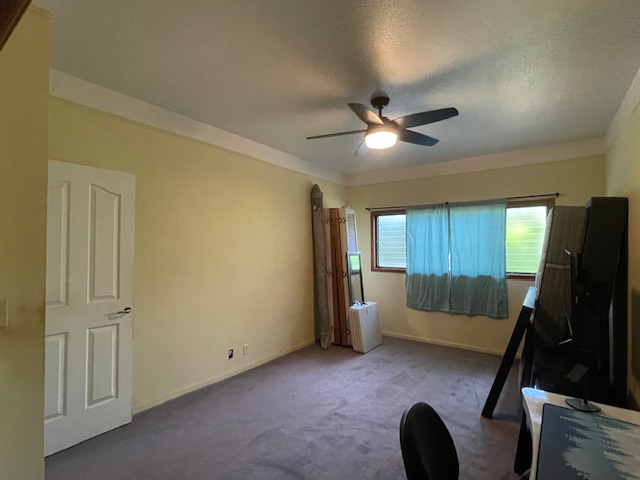 189 Eggerking Road Kapaa, HI 96746 - Photo 9 of 11