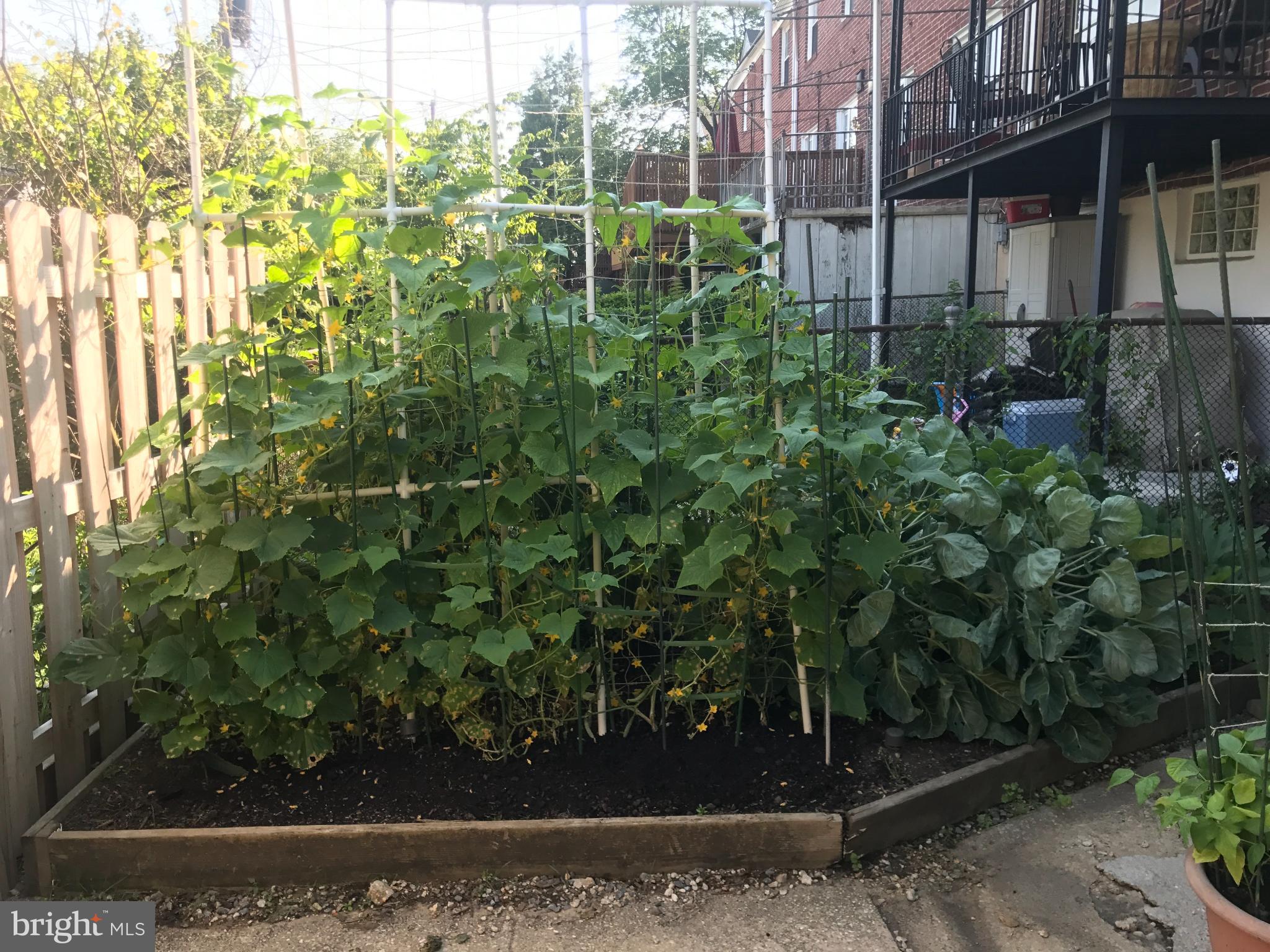8127 Glen Gary Road Towson, MD 21286 - Photo 30 of 34 Summer picture of garden area (corner of backyard)