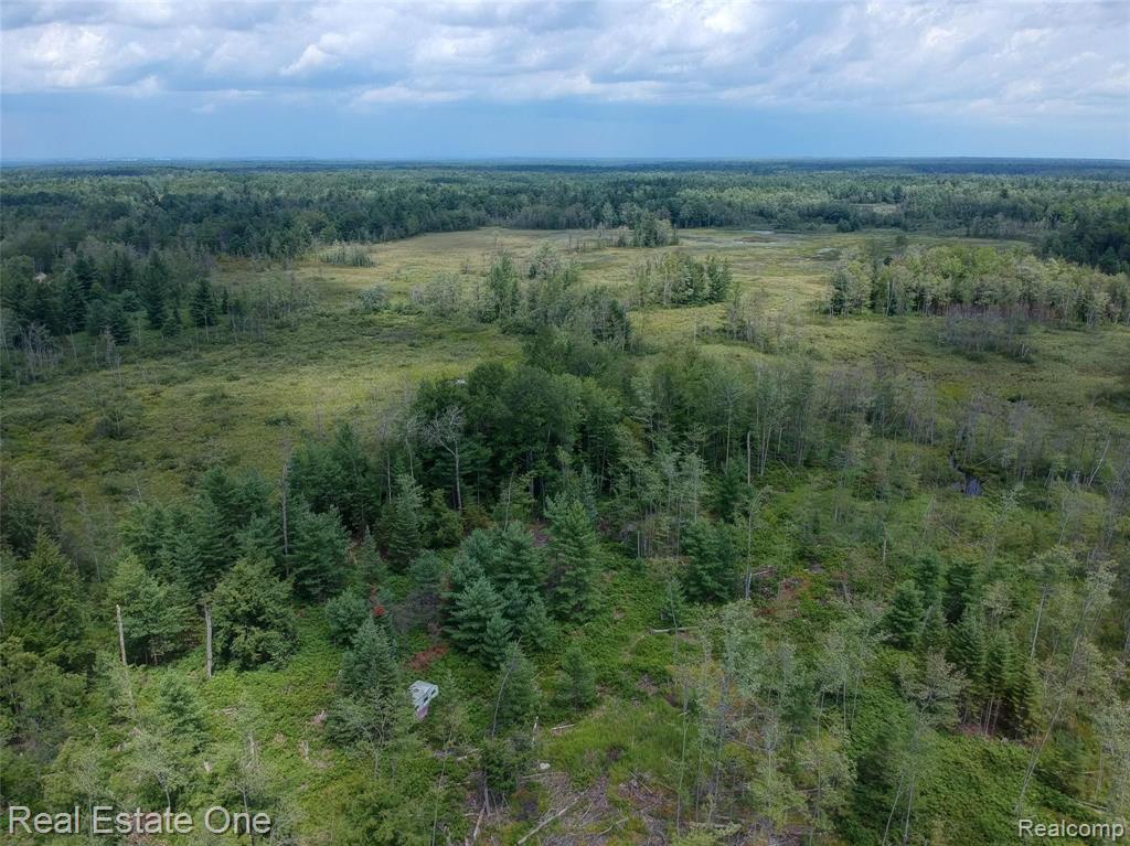 0 South Morrison Road West Branch, MI 48661 - Photo 23 of 38