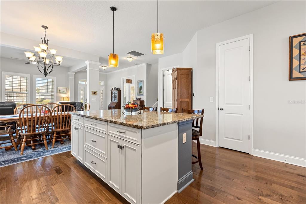 1045 Colleton Alley Winter Garden, FL 34787 - Photo 10 of 47