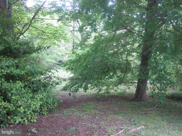 119 Brookhill Road Newtown Square, PA 19073 - Photo 24 of 25