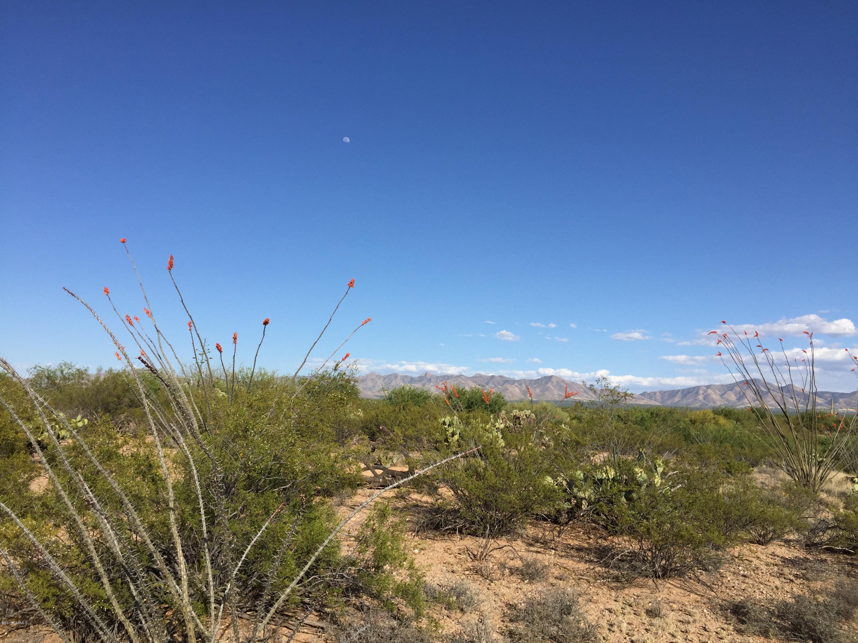 201 North Rustic Ridge Place, Unit 47 Sahuarita, AZ 85629 - Photo 8 of 15