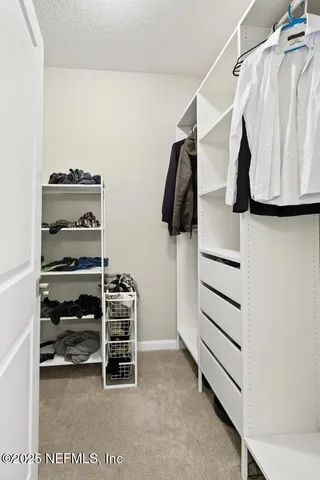 a view of a livingroom with a potted plant