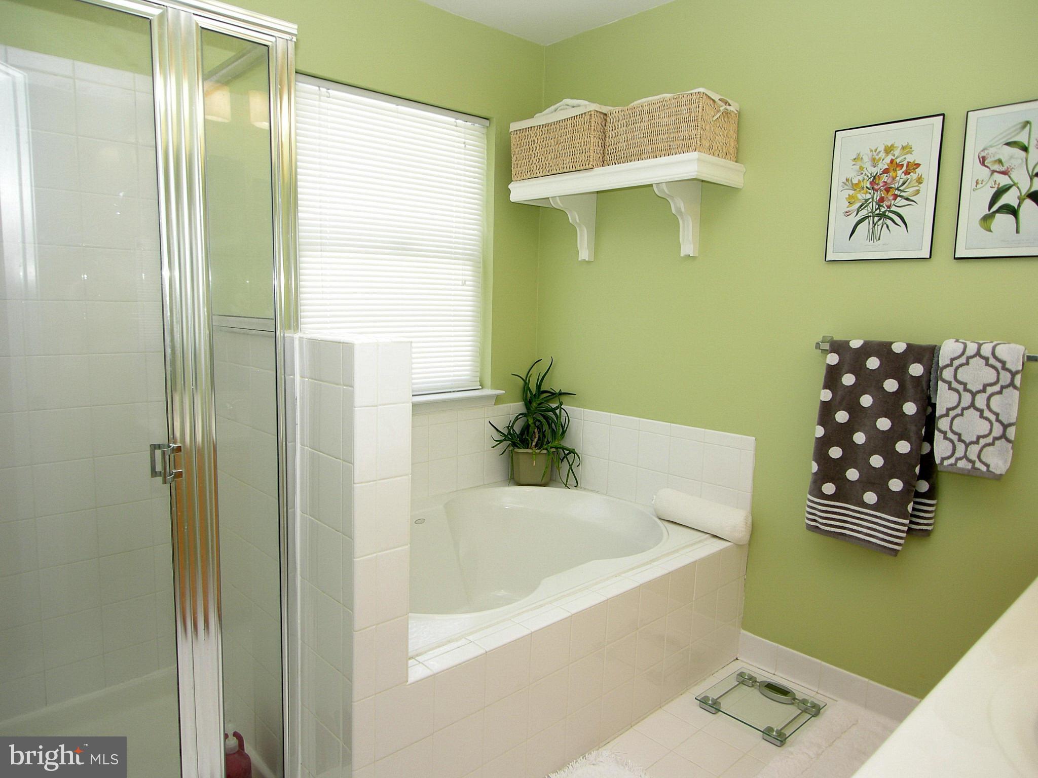 268 Braxton Way, Unit 28268 Edgewater, MD 21037 - Photo 17 of 21 Bath (Master)