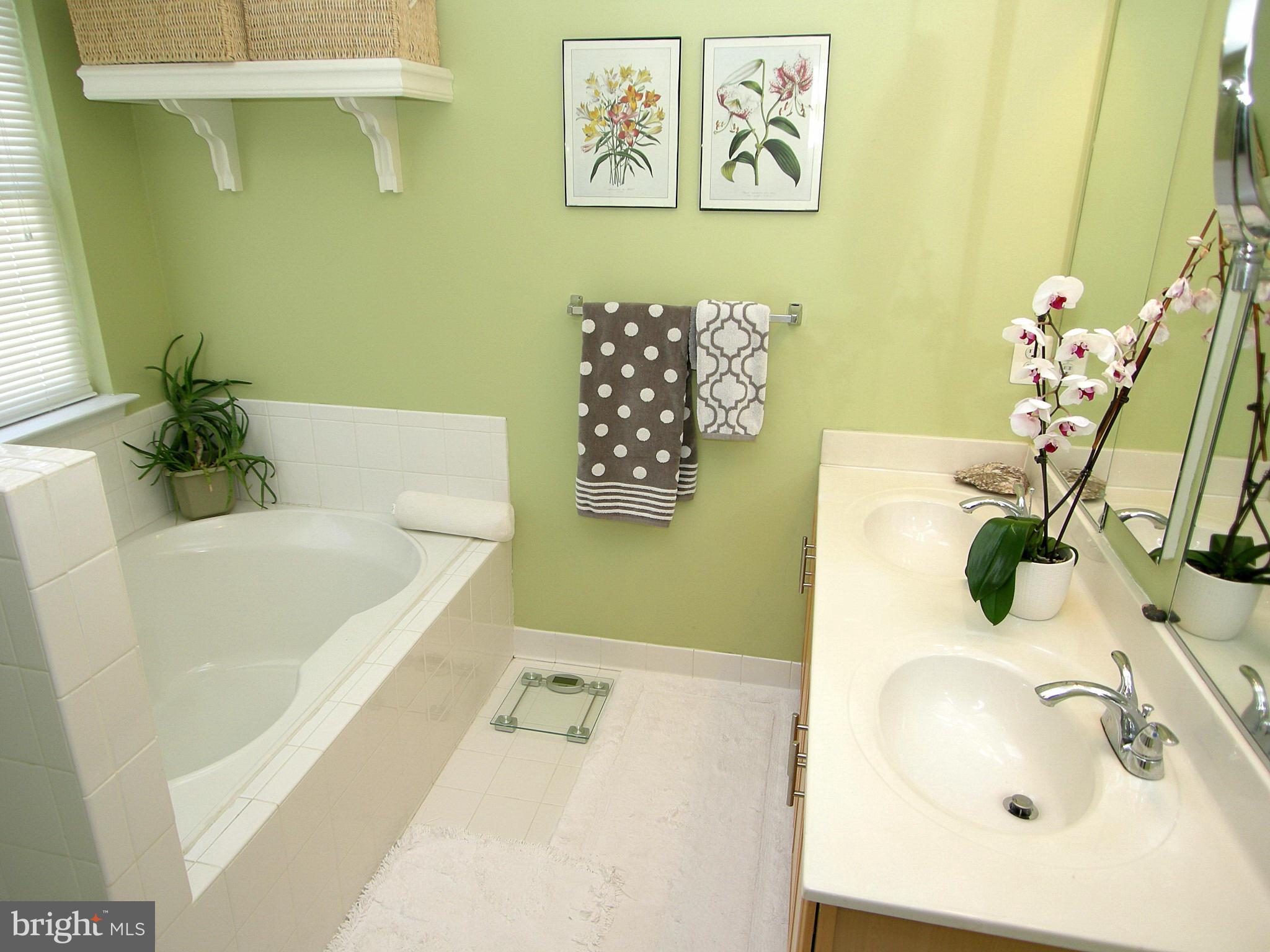 268 Braxton Way, Unit 28268 Edgewater, MD 21037 - Photo 18 of 21 Bath (Master)