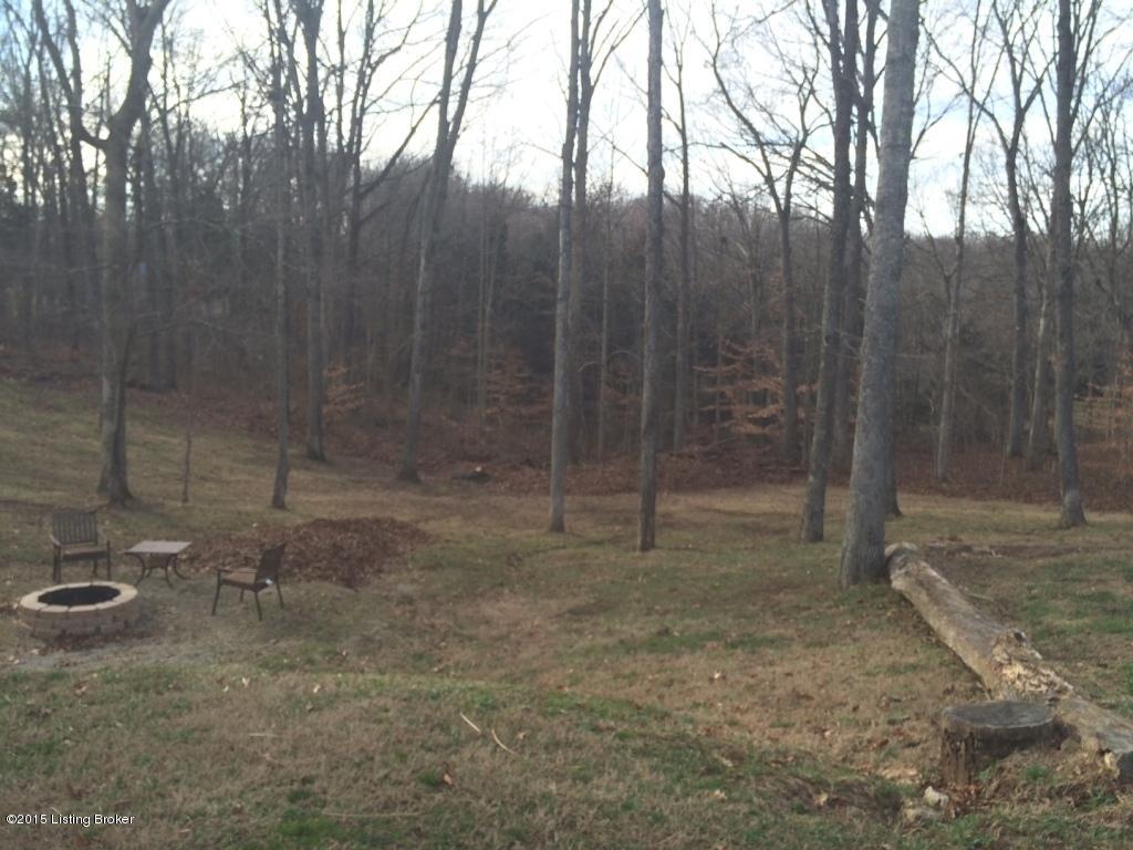 483 Quail Run Road Brandenburg, KY 40108 - Photo 34 of 34 photo4