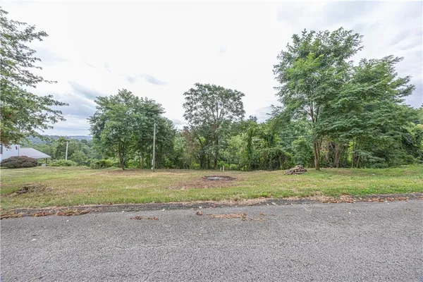 a big yard with road and trees