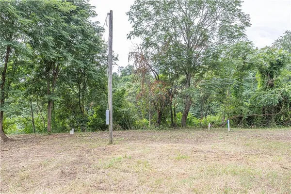 a backyard of a house with lots of trees